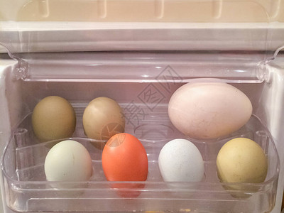 冰箱门上的彩色鸡肉和鹅蛋图片
