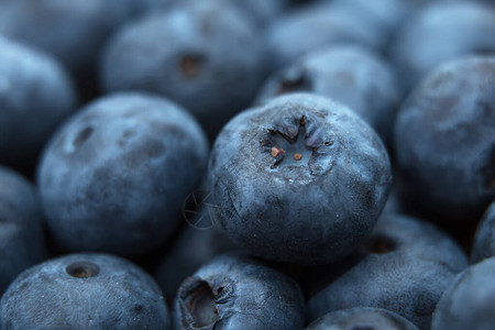 新鲜蓝莓的微距拍摄图片