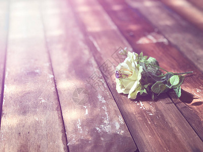 鲜玫瑰花和结婚戒指的紧图片