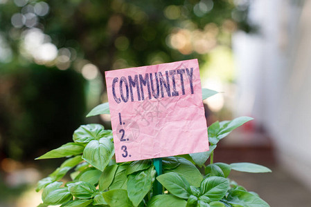概念手写显示社区概念意指具有共同特征的特定生活在一起的普通图片