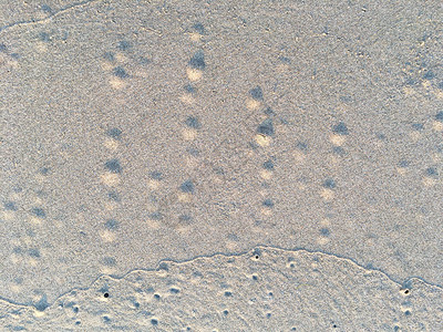 沙滩纹理螃蟹巢图片