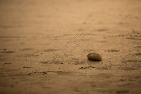 西班牙科尼尔海滩上的孤石图片