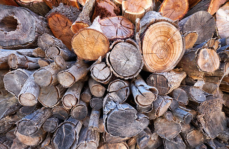 切割原木的背景木柴堆自然背景图片