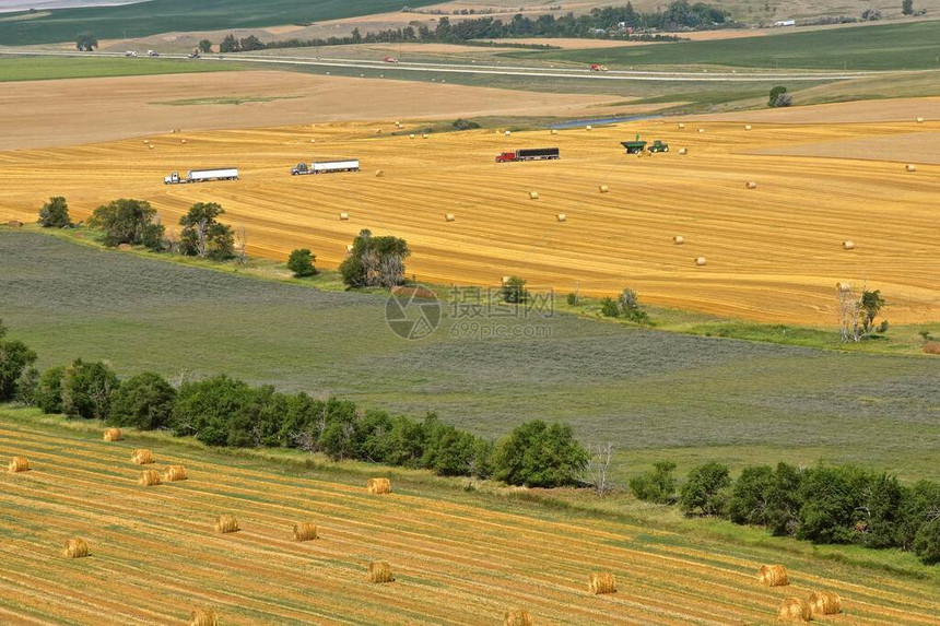 对农田的观察包括圆草篮一块未收获的小麦田和一排运输谷物的图片