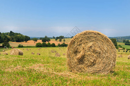 农业景观中的圆卷硬捆图片