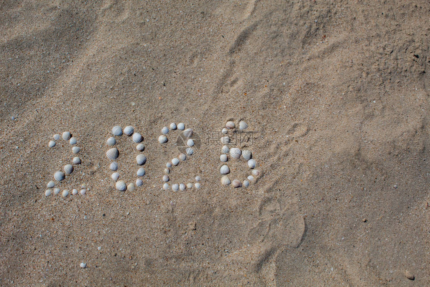 数字2026被放置在带有贝壳的沙滩上有空闲图片