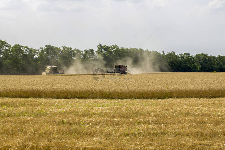 在地里用农业机械收割小麦图片