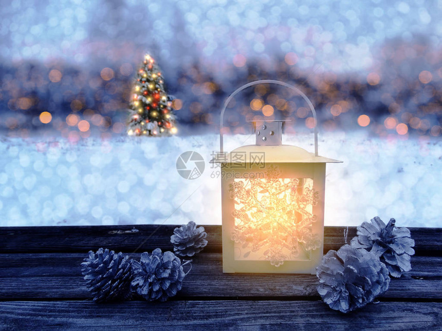 圣诞灯明树新年光亮冬天背图片