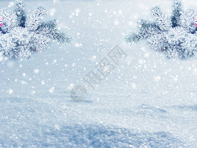 冬季圣诞节背景在森林背景上有背景图片