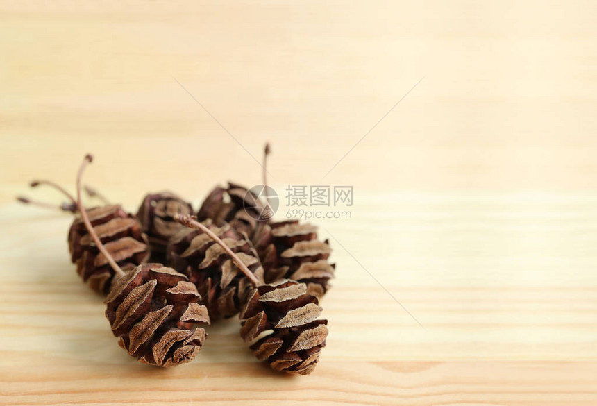 在浅褐色木制板桌上关闭许多天然干燥的小松果壳图片