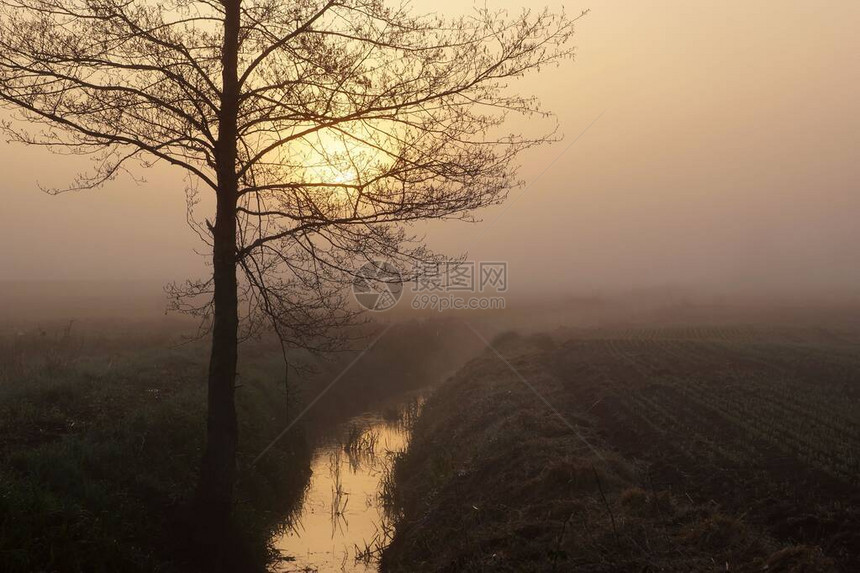 四月在风景公园图片