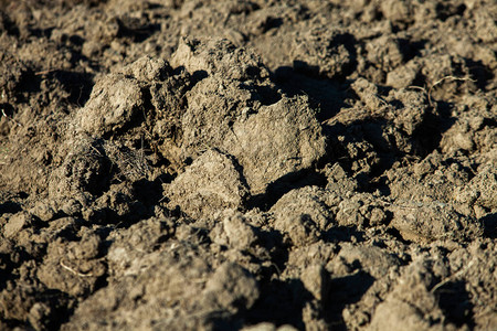 田间土壤农田泥土的深褐色质地表地面标的背景和图案深棕图片