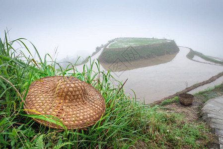 桂林水稻梯田和大雾中的工人帽子图片