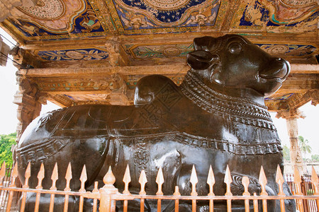 巨大的一统独立文化南迪布里哈迪斯瓦拉寺庙坦乔尔泰米尔纳德邦图片