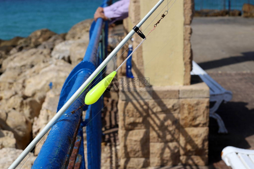 以色列北部地中海沿岸城市公园的栅栏图片
