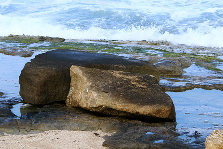 以色列北部地中海沿岸的石头和贝壳背景图片