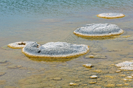 Stromatolites是活岩状化石图片