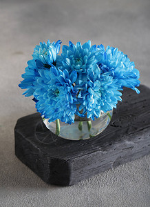 花瓶里的蓝色菊花图片