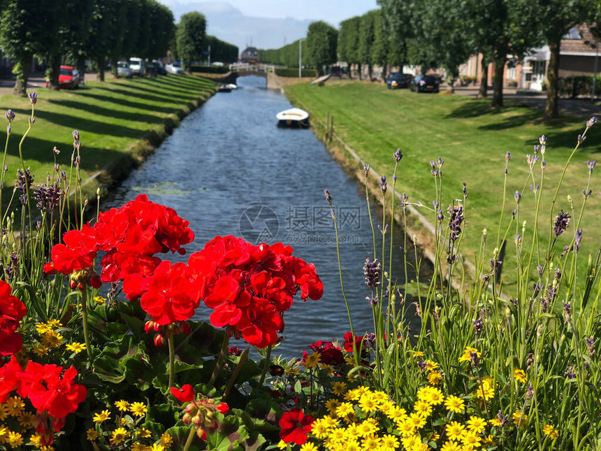 在荷兰弗赖斯兰州斯塔沃伦的一条运河图片