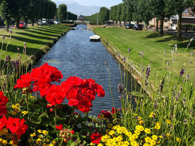 在荷兰弗赖斯兰州斯塔沃伦的一条运河图片