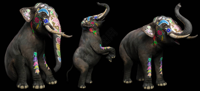 各种姿势的马戏团大象彩绘图片