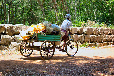 一名劳工为居住在印度南部Kerala农村地区生活而搬运货物图片