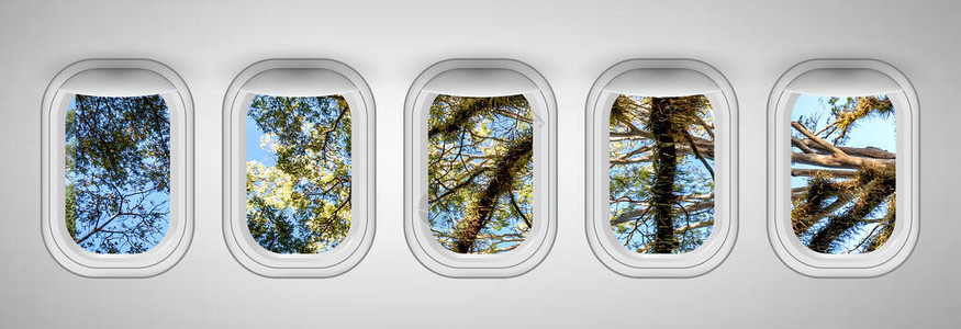 从飞机窗口看到的树枝纹理假期和旅行的概念背景图片