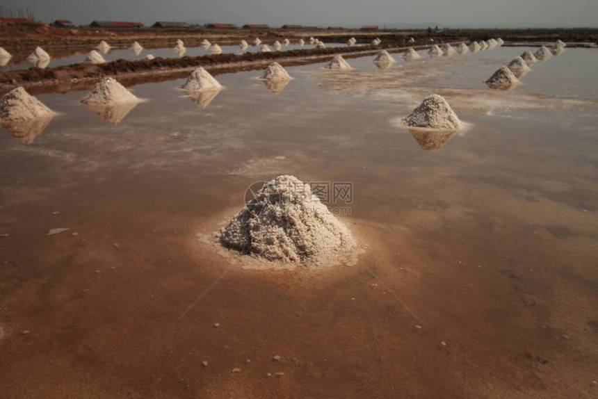 成排的盐堆准备在贡布省的盐田收获图片