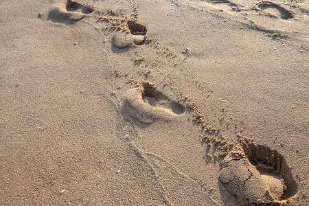 湿沙上的脚印质地图片