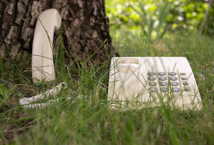 与自然交流寓言树下的电话听筒特写透过草地可以看到一部旧电图片