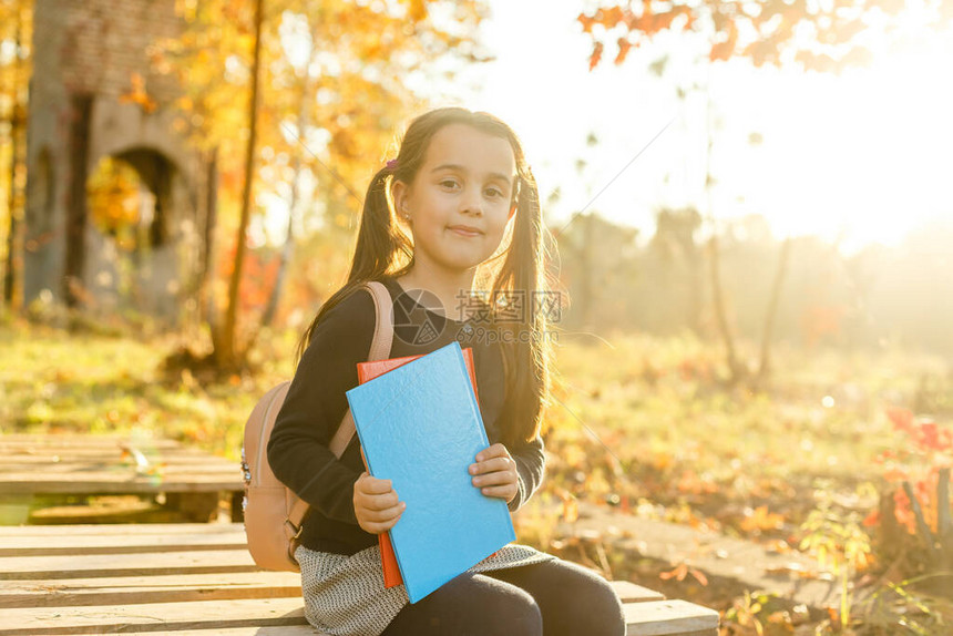 继续学习小孩喜欢在秋季公园学习孩子用书学习小女孩在秋日看书秋季文学概念小孩子喜欢图片