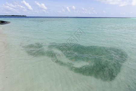 马尔代夫异国岛屿上美丽的图片