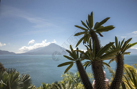 危地马拉阿蒂特兰湖上图片