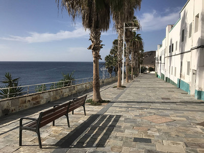 在拉斯帕尔马斯大加那利群岛通向公堂的大道上背景图片