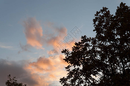 黄昏的天空与云彩和日落背景上的树剪影图片