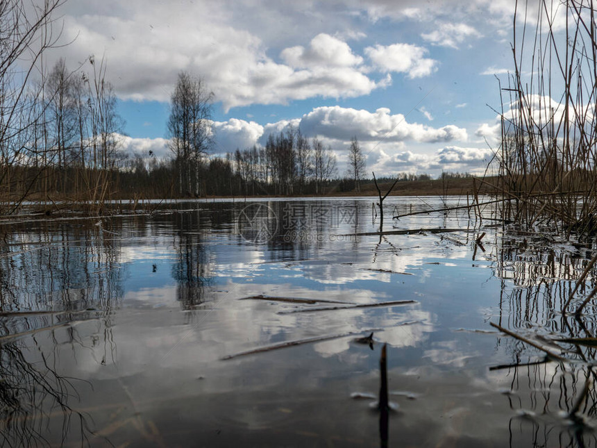 阳光明媚的风景远处有湖浅地有干草图片