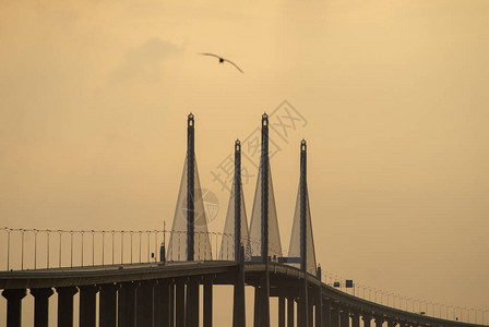早上的槟城大桥图片