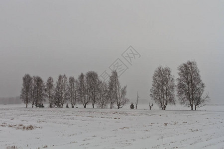 即使是在芬兰农村的暴风雪中背景图片