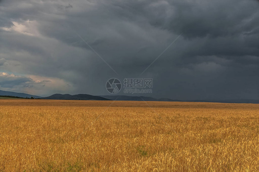 夏季雷雨前的田野图片
