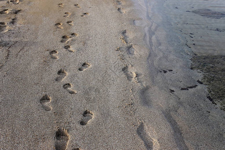 沿岸沙滩上的脚印背景图片