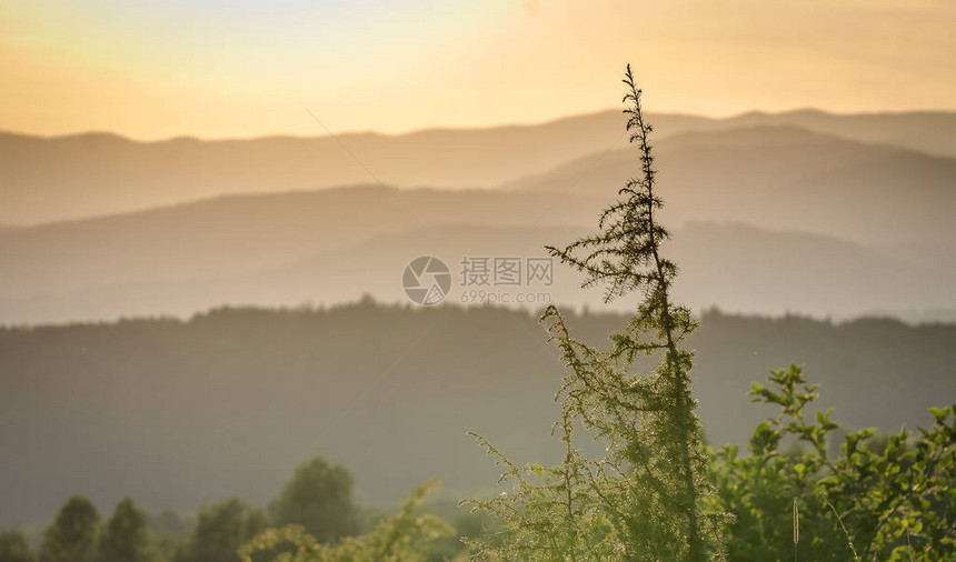 农村夏季地景观图片