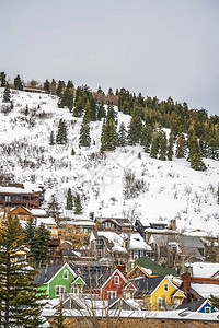 住宅区和在冬季下雪的一座山上灌木丛叶树图片