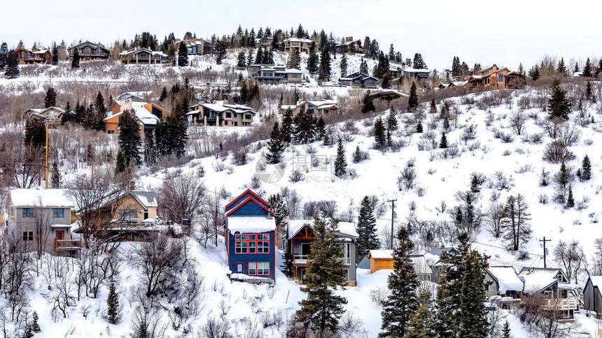 全景雪山景观与冬季针叶树和光秃的树木之间的房子风景如画的街区被白雪覆盖的自图片