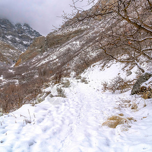 犹他州冬季覆盖普罗沃峡谷山岩石斜坡的方形作物积雪图片