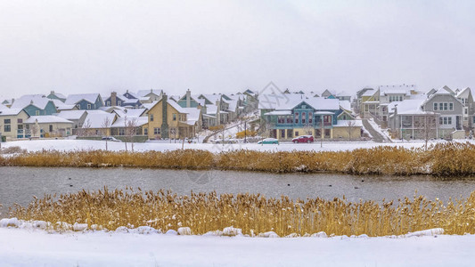 全景湖布满青草和雪覆盖的海岸图片