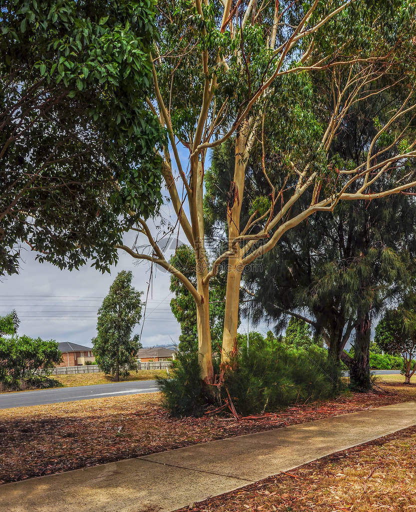 哈勒姆维多利亚澳大利亚24012014PrincesHighway是澳大利亚的一条主要道路图片