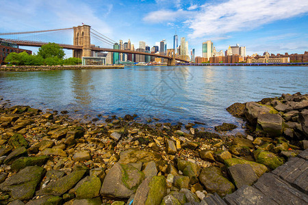 布鲁克林桥和曼哈顿天际线见纽约市布图片
