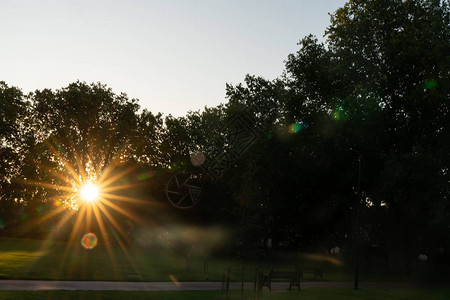 伦敦矿区公园周围的飞机树继续用太阳暴发图片