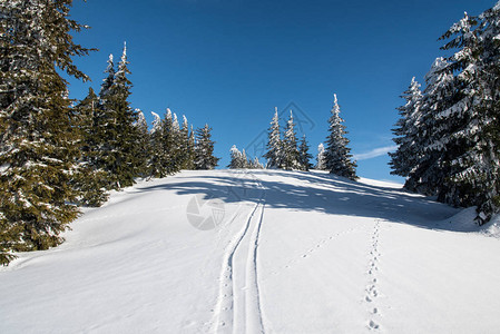 斯洛伐克卢坎斯卡马拉法特拉山的冬季风景高清图片