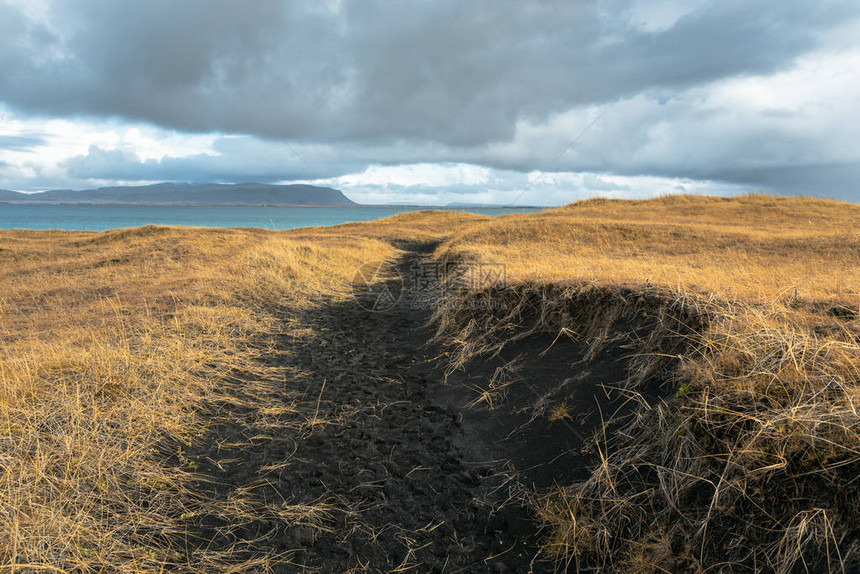 冰岛南部海岸的黑沙丘上图片